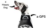 Pocket Dog Collar with GPS Mini Tracking Tool for Live Pet Monitoring Size:XXL