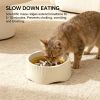 2-in-1 Dual Mode Large Plastic Slow Feeder Bowl, Switchable Fast/Slow Feed