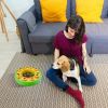 Dog Puzzle Food Feeder Slow Feeding Bowl Interactive Toy
